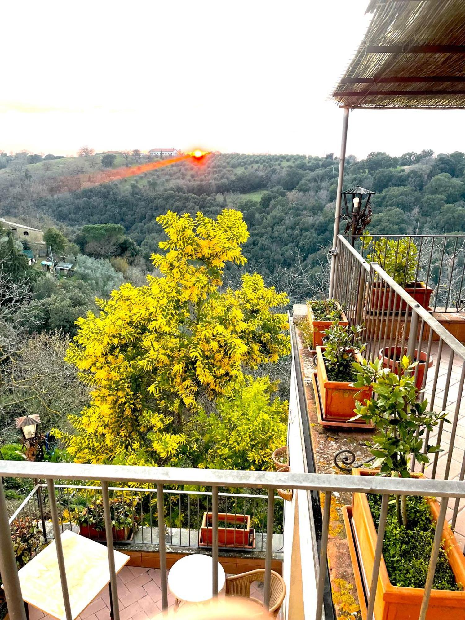 Montorgiali Ghigo La Locanda Di Torquato מראה חיצוני תמונה
